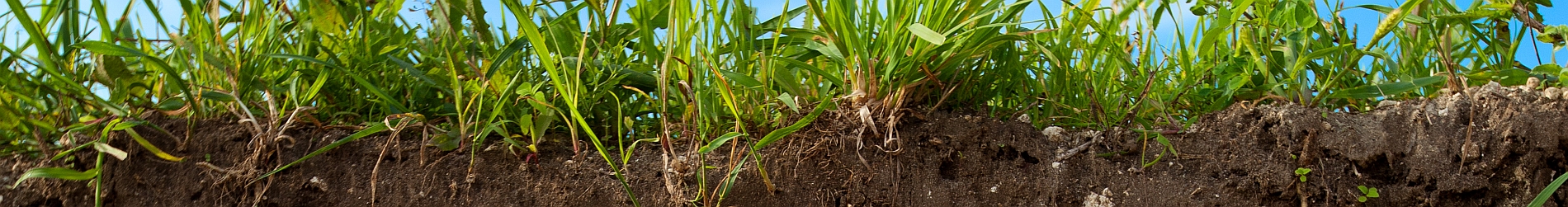 Cut of ground