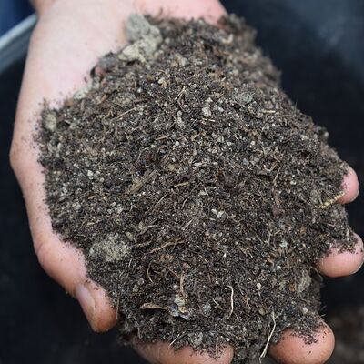 mulch-4827133_640